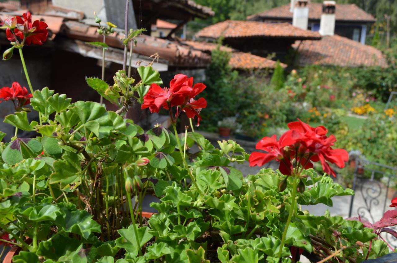 Guest House Zlatniyat Telets Koprivshtitsa Buitenkant foto